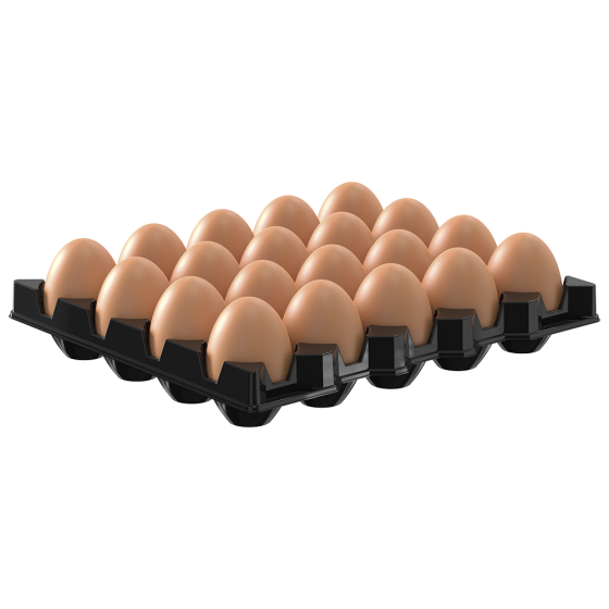 Fricosmos - Organizador de huevos GN 2/1 para 20 huevos