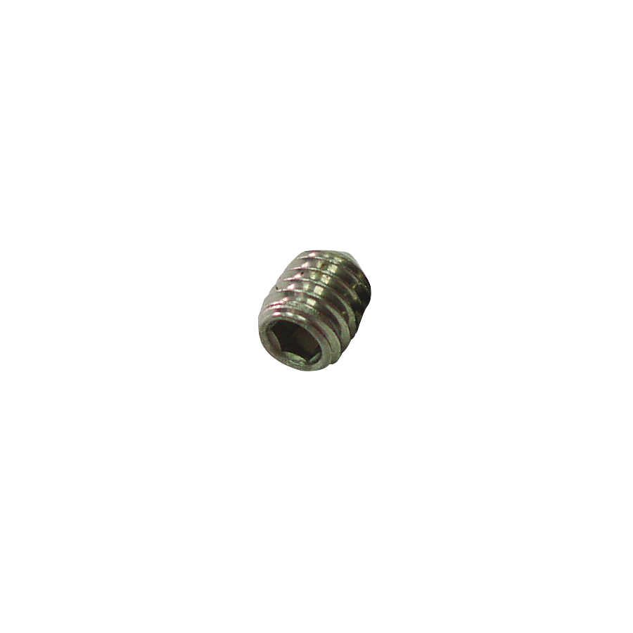 Fricosmos Tornillo Allen soporte piña M6x8 mm